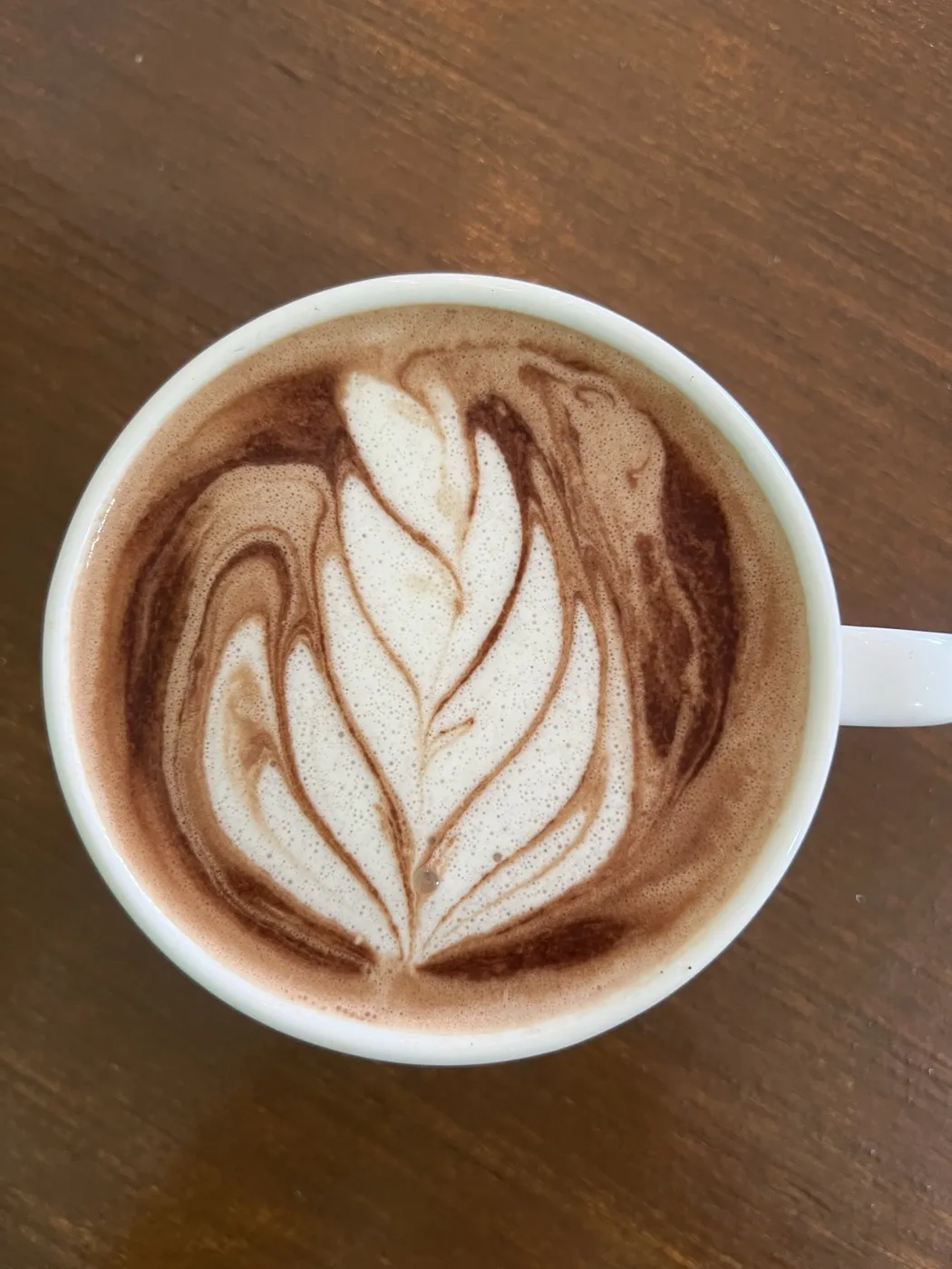 Cacao Latte